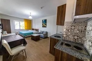 Şirin Apartrooms - 代尼兹利