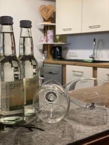 Haus-Ruitelspitzblick