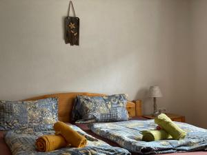 Haus-Ruitelspitzblick