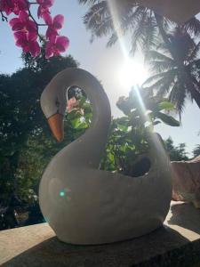 Almond Villa Find Your Paradise