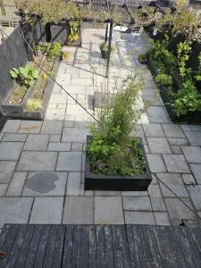 Garden homely house - Cardonald