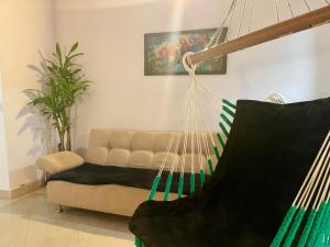 explora la magia de laureles