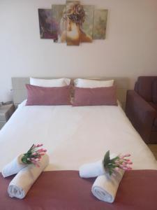 Апартамент и Студия "Спа Вълшебство"