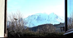 Appartements CHALET VALLEE BLANCHE : photos des chambres