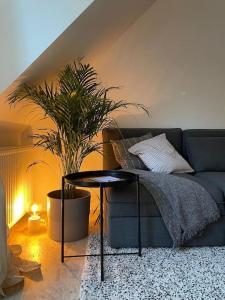 Duplex in the historic heart of Liège - 3rd floor