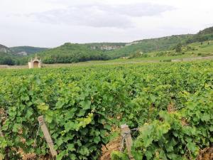 Appartements Gite Hautes Cotes de Nuits : photos des chambres