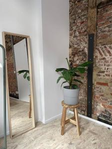 2 bedroom duplex in the historic heart of Liège