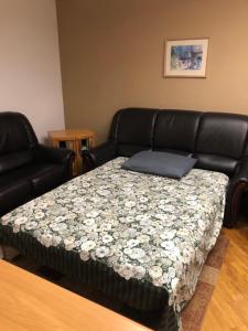 Bulevar NT Novi Beograd, Zemun