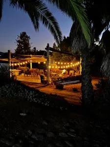 Loft Verdejo Cava Exclusiva Vinos Viñedo Privado - Las Palmas