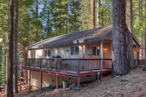 Hibernation Hideaway - South Wawona