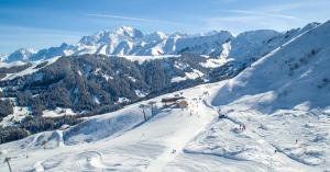 Appartements Le Refuge du Val Arly : photos des chambres