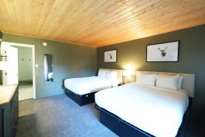 Family Suite room in Tremont Lodge & Resort