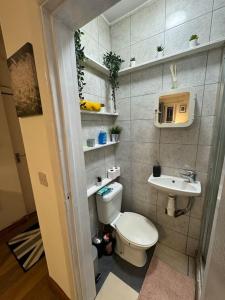 Central Earls Court Studio Flat