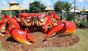 Grussaí houses - 圣弗朗西斯科-迪伊塔巴波阿纳