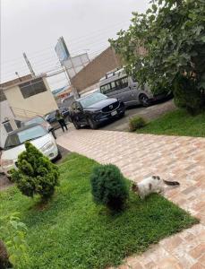 Hotel Villa Capricce