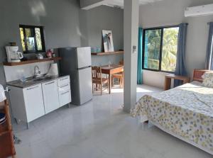 Dove Escapes- 2 bdrm appt in village of Placencia