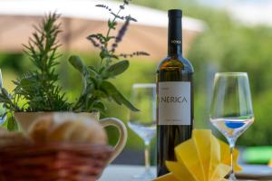 Activity and familiy Villa Milena with heated pool