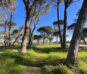 Rez-de-jardin 3 - Accès direct à la plage