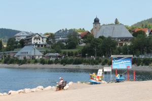 Haus Schwarzwaldmadel Apartment Schluchsee Deals Photos Reviews