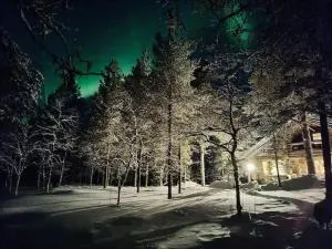 Lapland Lake Hideout with Modern Amenities and Activities - 埃农泰基厄