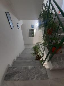 Villa-Hotel Ludianna