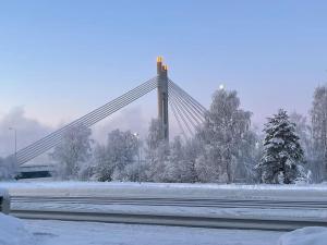 Private House VILLA JOKI near Center, River view, Free Onsite Parking, WiFi