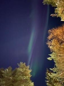 Private House VILLA JOKI near Center, River view, Free Onsite Parking, WiFi