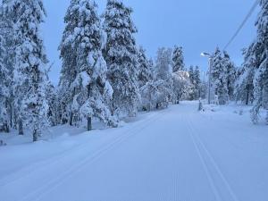 Private House VILLA JOKI near Center, River view, Free Onsite Parking, WiFi