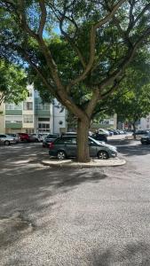 Oeiras Beach Guest House