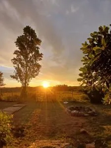 La Calma - 马尔多纳多