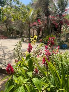 Lugar para descansar com a familia