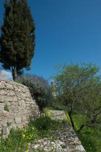 Painter's Country House Kythira Greece