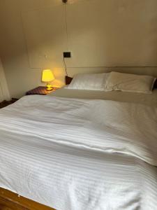 Meshrom Guest House and Restaurant