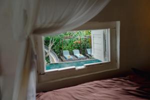 The Onion Collective