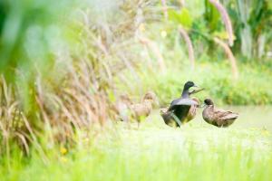 Society House Luxury Hostel