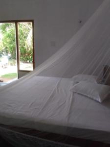 Green House Rooms