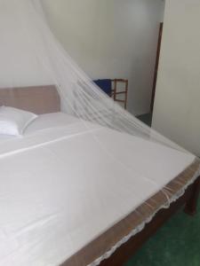 Green House Rooms