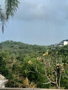 Biệt Thự 1 Phòng Ngủ (One-Bedroom Villa)