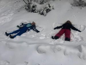 Alpine Chalet 3BR with Heated Floors and Fast Wi-Fi