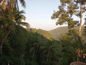 Permaculture house2