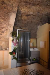 B&B / Chambres d'hotes Chambres d'Hotes Troglodytes Le Clos de L'Hermitage : Double Room with Private Bathroom (No window)