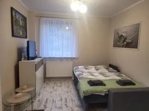 Apartament Lipnicki 1 nr 16 - Lipnik