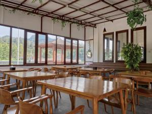 Taman Syailendra Cottage Dieng