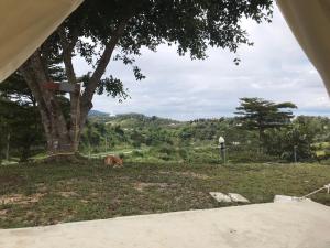 Hangout Khaokho รีสอร์ต G1