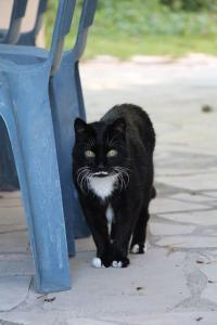 Logement indépendant à Fréjus