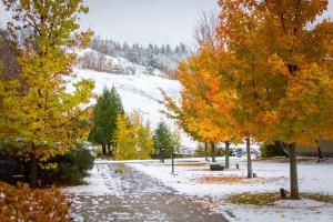 Calabogie Peaks Hotel, Ascend Hotel Member