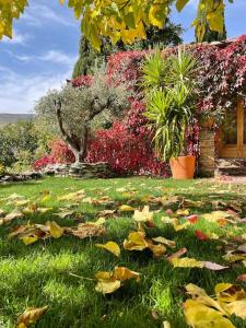 Retiro en la Alpujarra