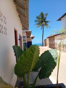 Aluna Beach House Nungwi