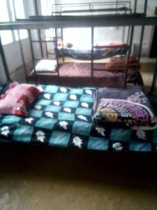 Himalayan Hostel Triund Trekking Hostel