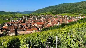 Domaine La Cour Des Nobles - Demeure, Maison et Appartements au coeur de Riquewihr : photos des chambres